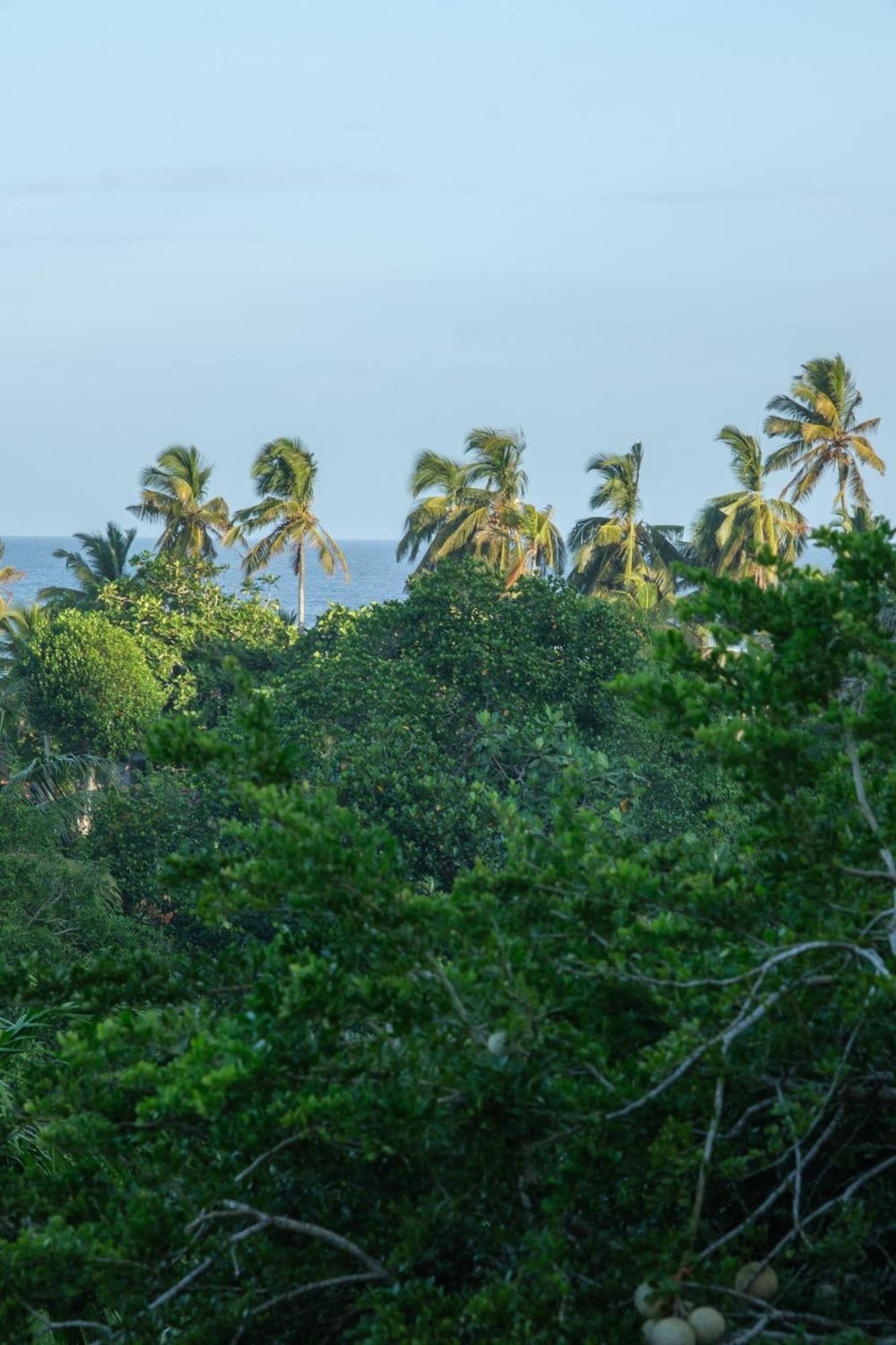 The Jungle View Hotel Mirissa Buitenkant foto