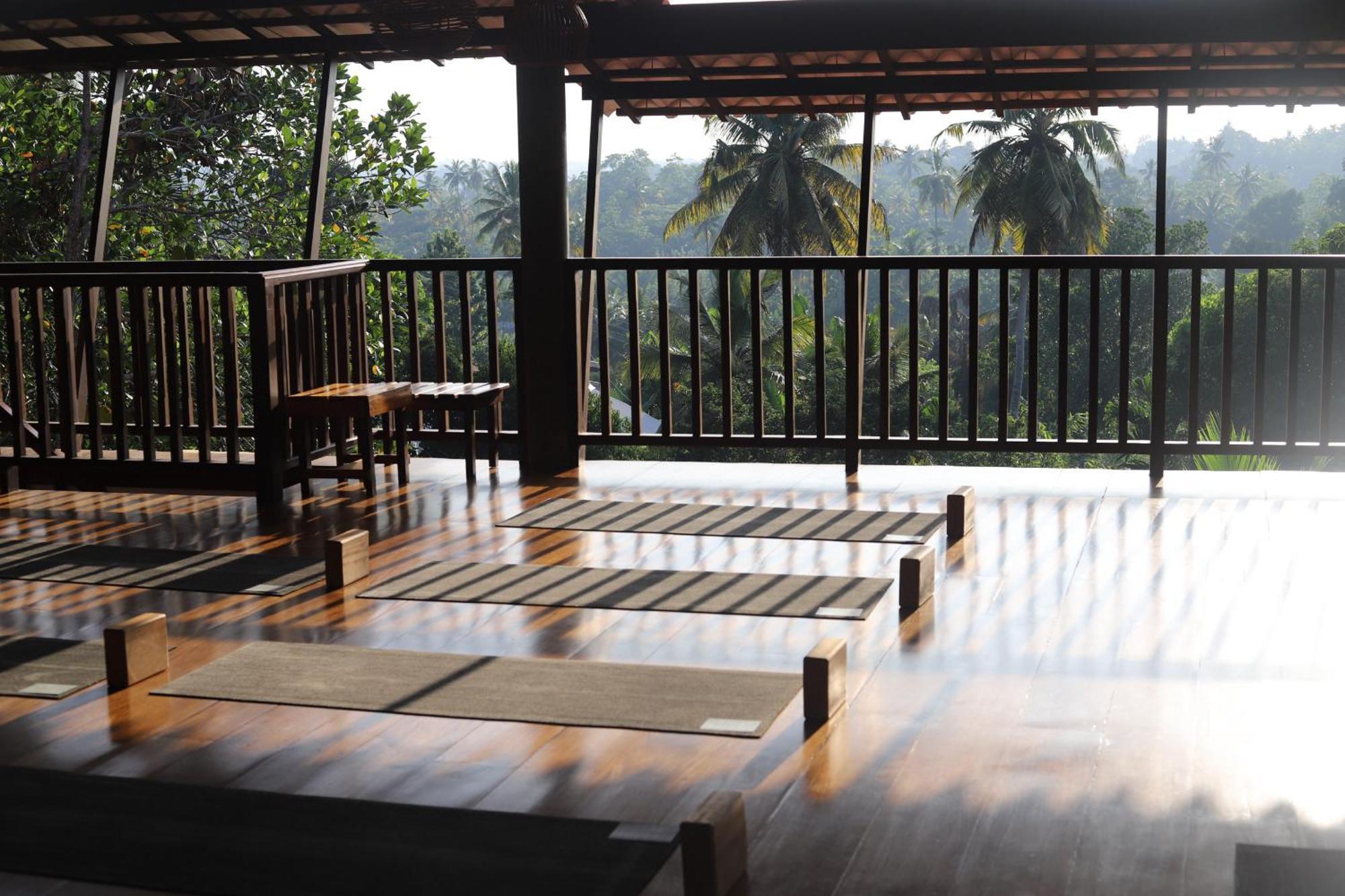 The Jungle View Hotel Mirissa Buitenkant foto